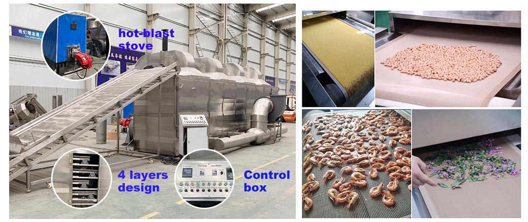 food dryer machine process