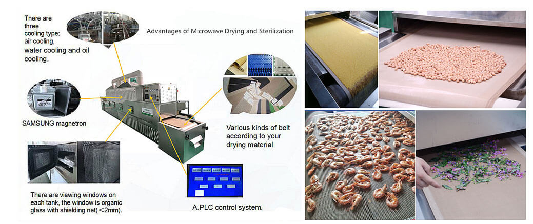 microwave food dryer machine process