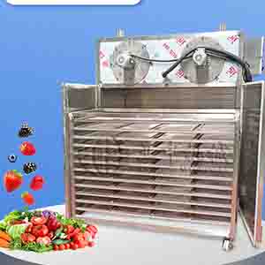 Vegetable & Fruit Dehydrated Dryer machine