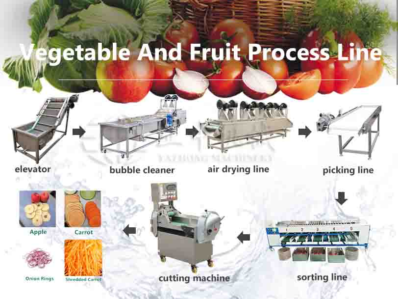 Fruit and Vegetable Cleaning Packing Production Line