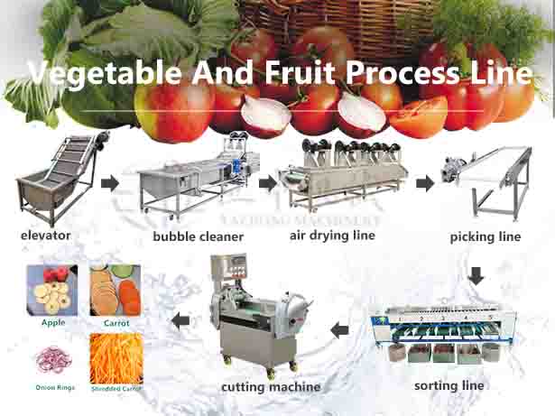 Fruit Vegetables and Fruit Processing Line