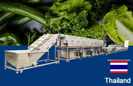 Deliver Leafy Vegetable Washing Line To Thailand