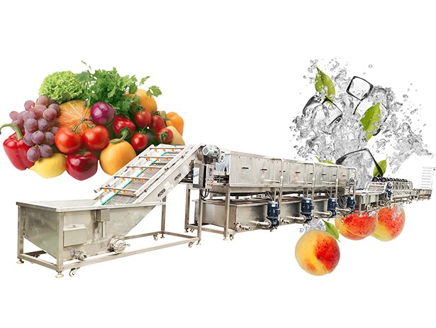 Vegetables and Fruit Processing Line