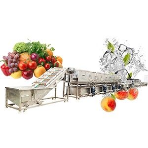 Multifunctional Passion Fruit and Vegetable Brush Bubble Washing Drying  Selection and Cutting Production Line - China Fruit Brush Washing Drying  Production Line, Vegetable and Fruit Production Line