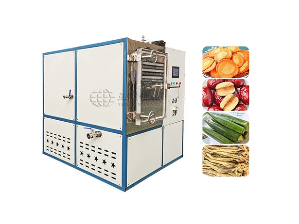 Vacuum Freeze Dryer Machine