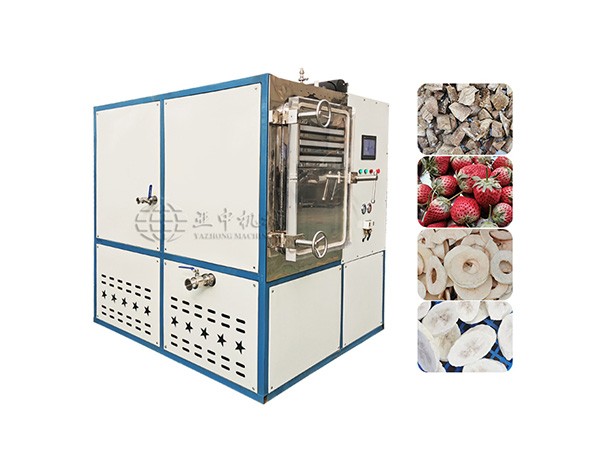 Vacuum Freeze Dryer Machine