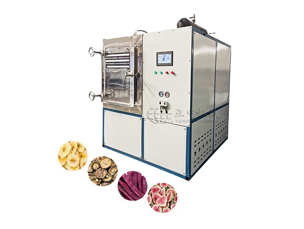 Vacuum Freeze Dryer Machine