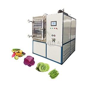 Vacuum Freeze Dryer Machine