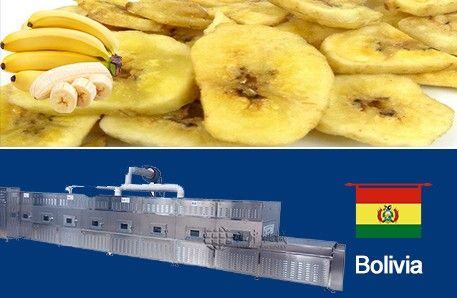 200kgh Banana Chips Drying Line To Bolivia 