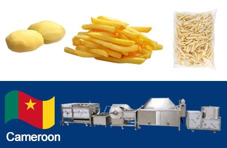 100kgh Semi Automatic Frozen French Fries Machine Delivery To Cameroon