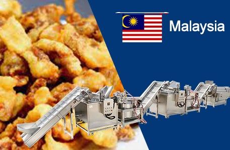 Crispy Pork Frying And Seasoning Line Delivery To Malaysia