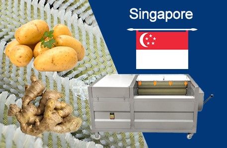 Potato And Ginger Peeling Machine Delivery To Singapore