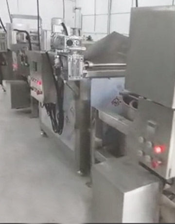 100kgh Semi Automatic French Fries Production Line In Chile