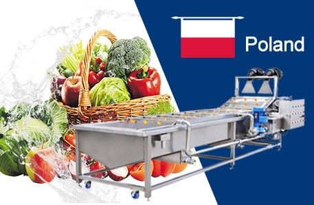 Vegetable Bubble Washing Machine To Poland