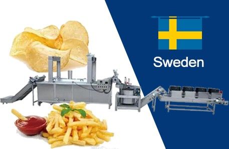 500KGH Food Frying Line To Sweden