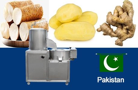 Root Vegetable Cutter To Pakistan