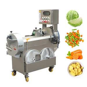 VFD Multifunction Vegetable Cutter