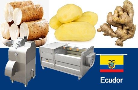 Potato Peeling Machine And Dicer To Ecuador