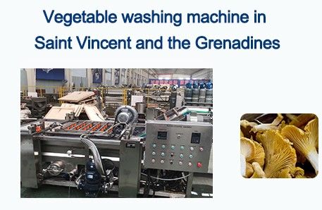 Vegetable washer to Saint Vincent &the Grenadines