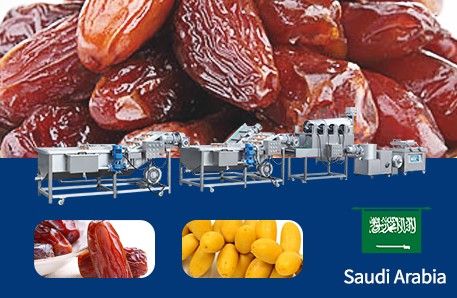 100kg/h Date palm processing line in Saudi Arabia