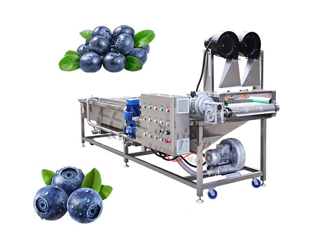 Blueberry Cleaning Machine