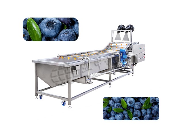 Blueberry Cleaning Machine