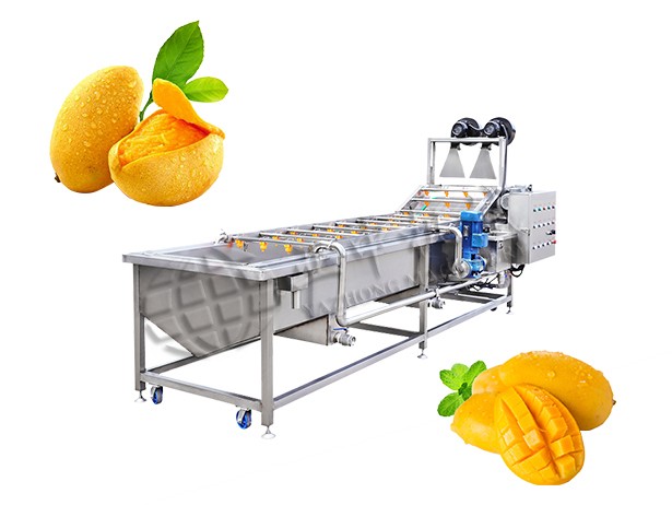 Mango Fruit Washing Machine