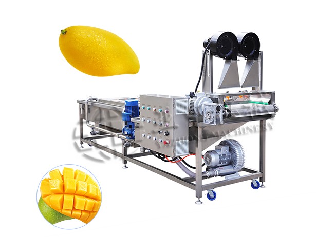 Mango Fruit Washing Machine