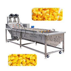 Sweet Corn Cleaning Machine