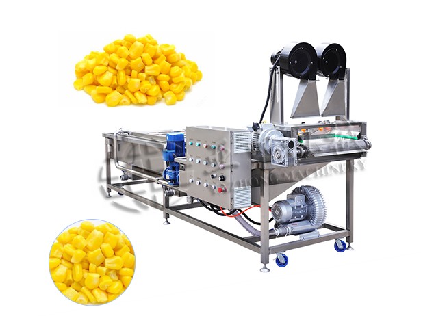 Sweet Corn Cleaning Machine