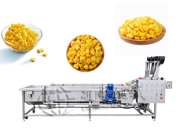 Sweet Corn Cleaning Machine