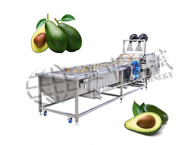 Industrial Avocado Cleaning Machine