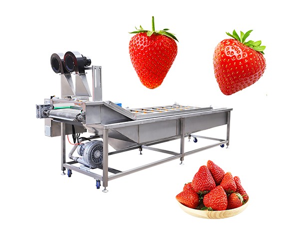 Strawberry Fruit Cleaning Machine