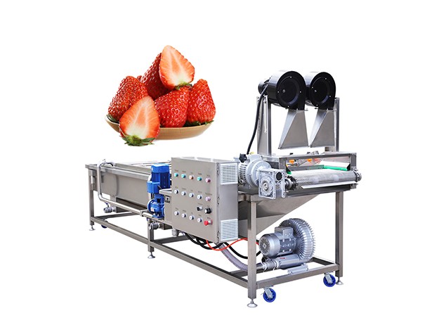 Strawberry Fruit Cleaning Machine