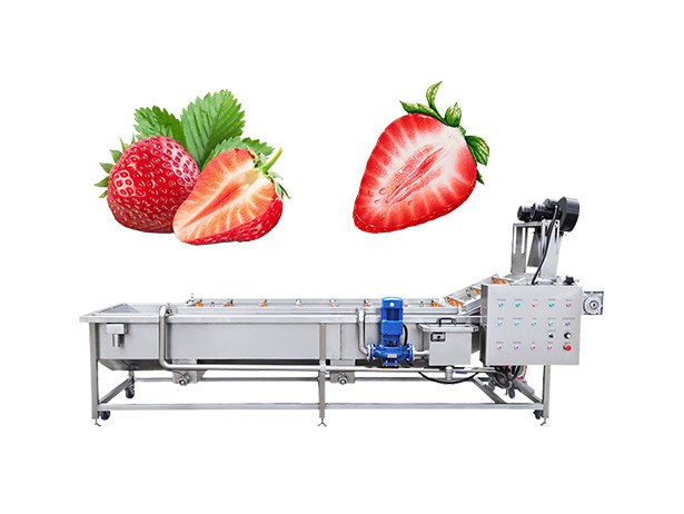 Strawberry Fruit Cleaning Machine