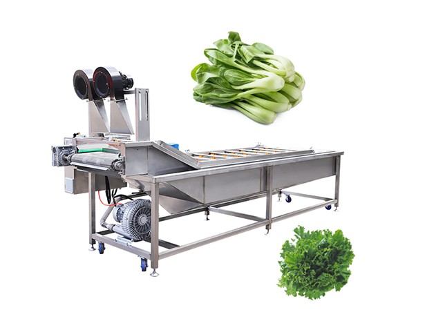 Leafy Vegetable Washing Machine Price