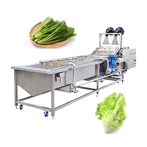 Leafy Vegetable Washing Machine Price