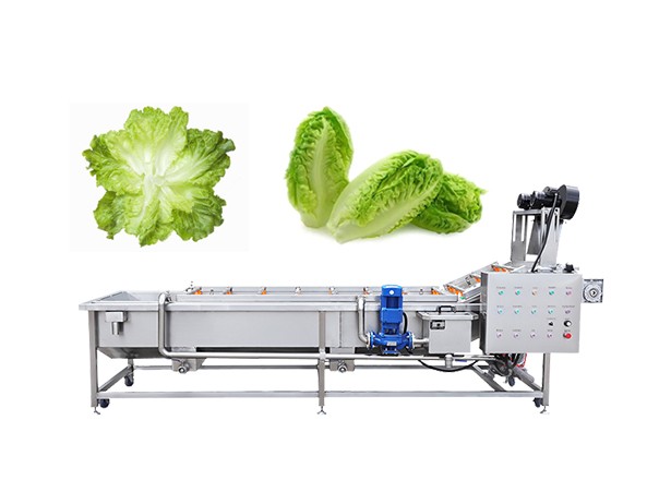 Leafy Vegetable Washing Machine Price