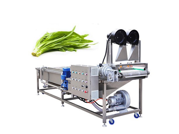 Leafy Vegetable Washing Machine Price