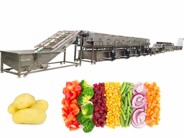 Vegetables and Fruit Processing Line