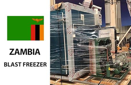 French fries IQF Machine to Zambia