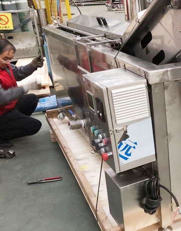 Small Scale French Fries Production Line Sri Lanka 